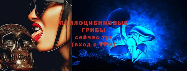 амф Бугульма