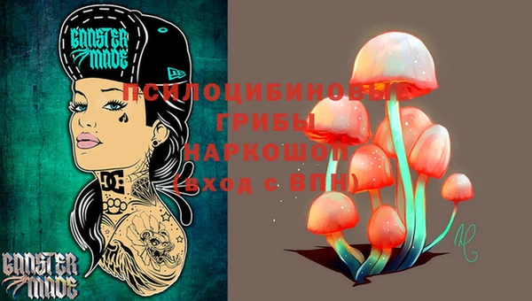 амф Бугульма