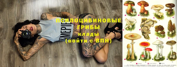 амф Бугульма