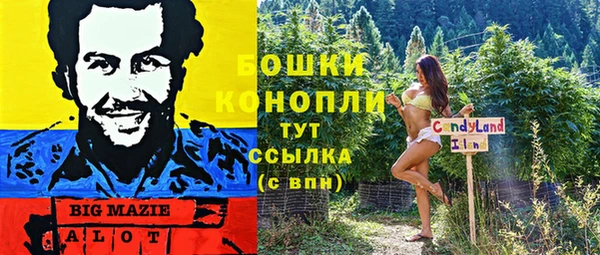 амф Бугульма