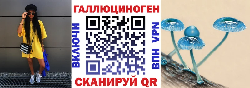 Купить где  Среднеуральск  Псилоцибиновые грибы прущие грибы 